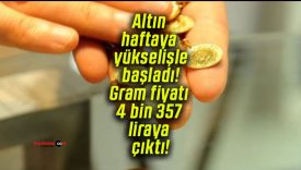çıktısa