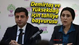 Demirtaş ve Yüksekdağ için tahliye başvurusu