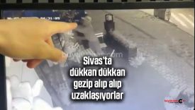 Sivas’ta esnafa çiçek hırsızlığı şoku! Başak Çiçekçilik de hedefteydi