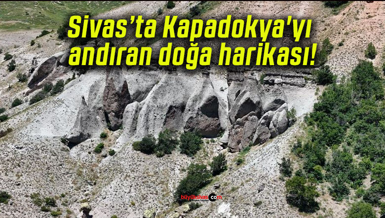 doğasa