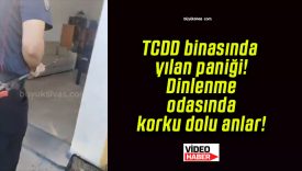 TCDD binasında yılan paniği! Dinlenme odasında korku dolu anlar!