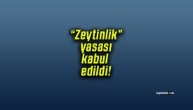 “Zeytinlik” yasası kabul edildi!