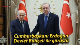 Cumhurbaşkanı Erdoğan Devlet Bahçeli ile görüştü