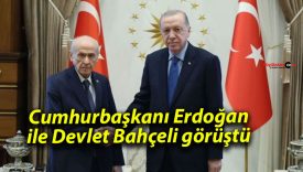 Cumhurbaşkanı Erdoğan ile Devlet Bahçeli görüştü