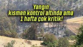 Yangın kısmen kontrol altında ama 1 hafta çok kritik!