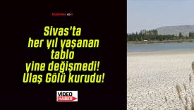 Sivas’ta her yıl yaşanan tablo yine değişmedi! Ulaş Gölü kurudu!