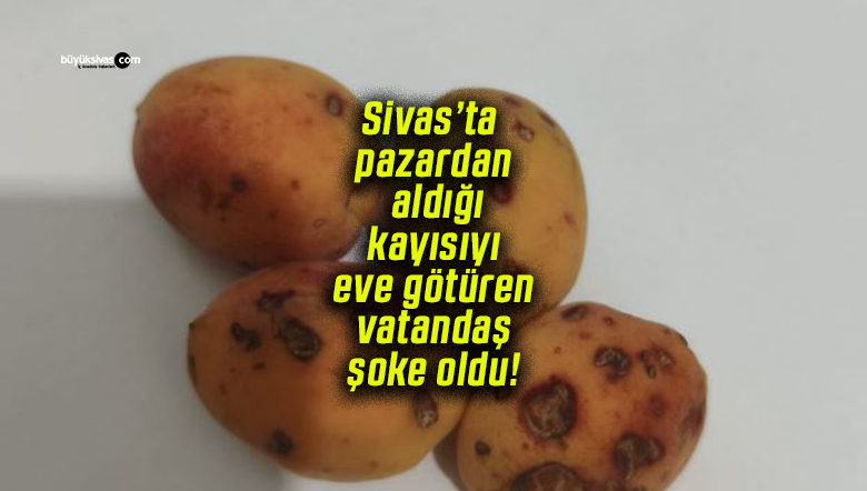 Sivas’ta pazardan aldığı kayısıyı eve götüren vatandaş şoke oldu!