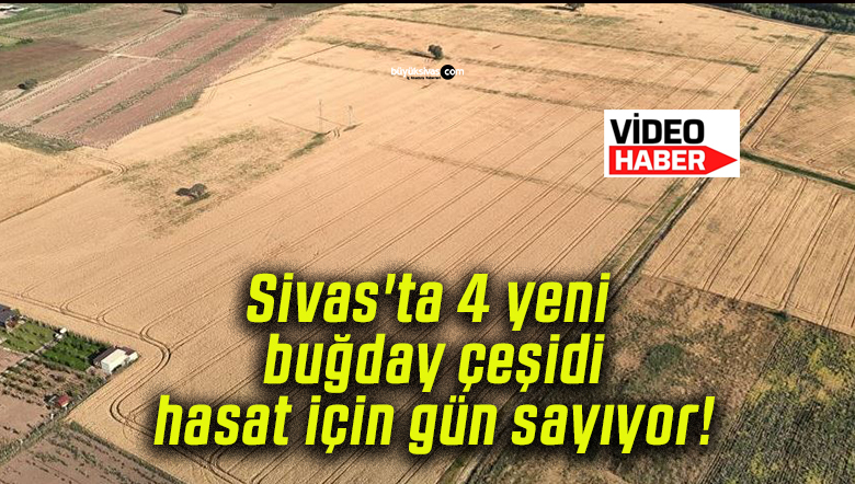 günsa