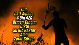 Yılın İlk 7 Ayında 4 Bin 426 Orman Yangını Çıktı! 50 Bin Hektar Alan Zarar Gördü!