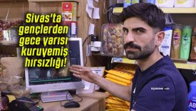 Sivas’ta gençlerden gece yarısı kuruyemiş hırsızlığı!
