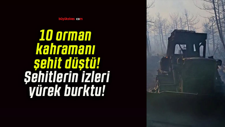 10 orman kahramanı şehit düştü! Şehitlerin izleri yürek burktu!