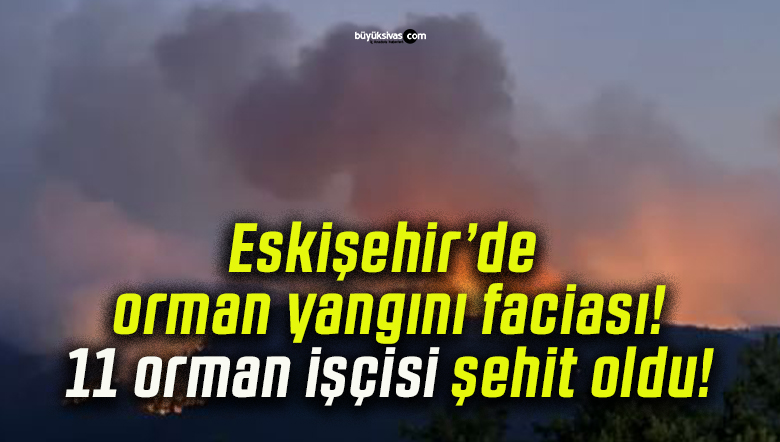 Eskişehir’de orman yangını faciası! 11 orman işçisi şehit oldu!