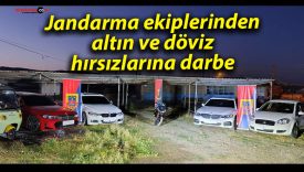 Jandarma ekiplerinden altın ve döviz hırsızlarına darbe