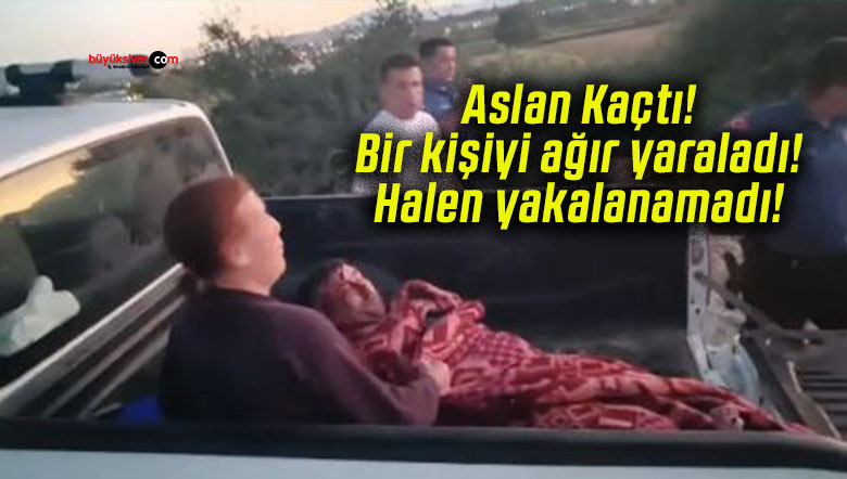 kaçtısa