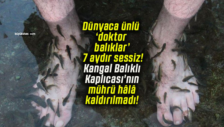 Dünyaca ünlü ‘doktor balıklar’ 7 aydır sessiz! Kangal Balıklı Kaplıcası’nın mührü hâlâ kaldırılmadı!
