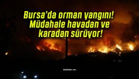Bursa’da orman yangını! Müdahale havadan ve karadan sürüyor!