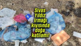 Sivas Yıldız Irmağı kıyısında doğa katliamı!