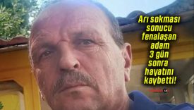 Arı sokması sonucu fenalaşan adam 3 gün sonra hayatını kaybetti!