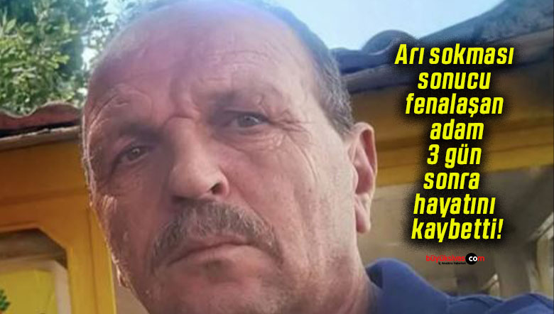 Arı sokması sonucu fenalaşan adam 3 gün sonra hayatını kaybetti!