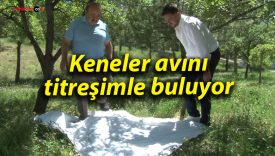 Keneler avını titreşimle buluyor