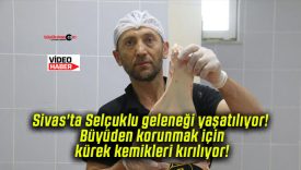 Sivas’ta Selçuklu geleneği yaşatılıyor! Büyüden korunmak için kürek kemikleri kırılıyor!