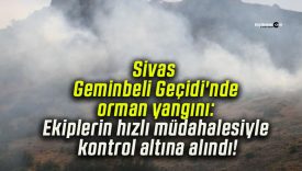 Sivas Geminbeli Geçidi’nde orman yangını: Ekiplerin hızlı müdahalesiyle kontrol altına alındı!