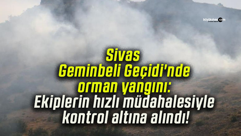 Sivas Geminbeli Geçidi’nde orman yangını: Ekiplerin hızlı müdahalesiyle kontrol altına alındı!