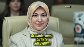 Ormanlarımızı birlikte koruyalım!