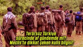 Terörsüz Türkiye sürecinde af gündemde mi? Meclis’te dikkat çeken kulis bilgisi!