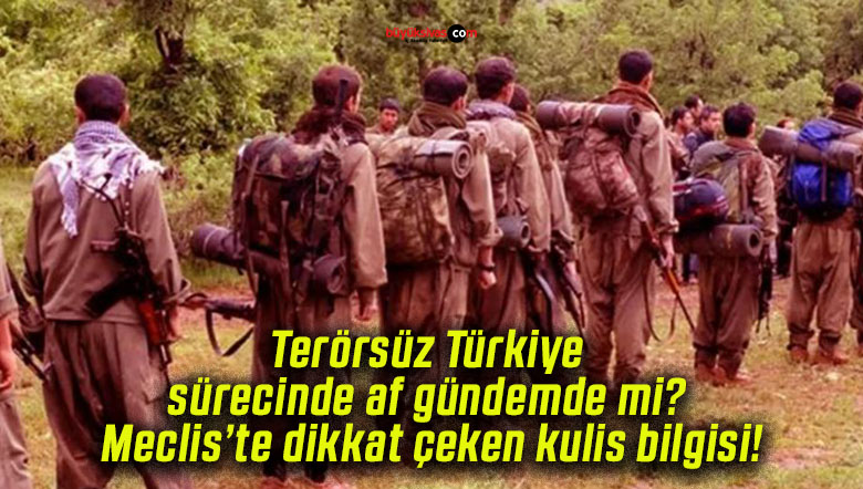 Terörsüz Türkiye sürecinde af gündemde mi? Meclis’te dikkat çeken kulis bilgisi!