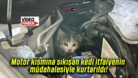 Motor kısmına sıkışan kedi itfaiyenin müdahalesiyle kurtarıldı!