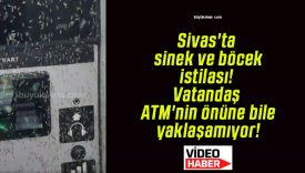 Sivas’ta sinek ve böcek istilası! Vatandaş ATM’nin önüne bile yaklaşamıyor!