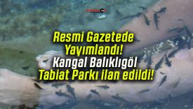 Resmi Gazetede Yayımlandı! Kangal Balıklıgöl Tabiat Parkı ilan edildi!
