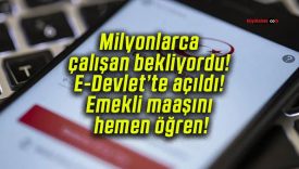 Milyonlarca çalışan bekliyordu! E-Devlet’te açıldı! Emekli maaşını hemen öğren!