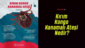 Kırım Kongo Kanamalı Ateşi Nedir?