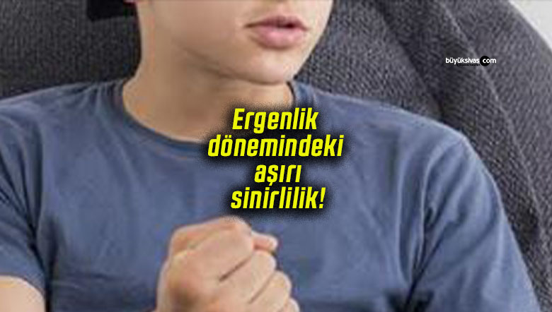 Ergenlik dönemindeki aşırı sinirlilik! Bir isyan değil! Bir mesaj!