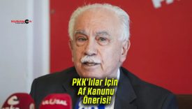 Doğu Perinçek’ten PKK’lılar İçin Af Kanunu Önerisi!