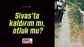 Sivas’ta kaldırım mı, otluk mu?