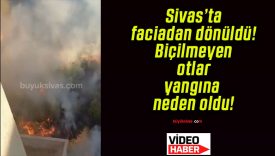 Sivas’ta faciadan dönüldü! Biçilmeyen otlar yangına neden oldu!
