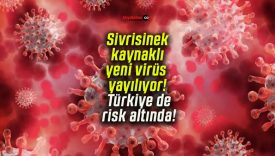Sivrisinek kaynaklı yeni virüs yayılıyor! Türkiye de risk altında!