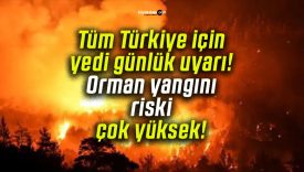 Tüm Türkiye için yedi günlük uyarı! Orman yangını riski çok yüksek!