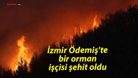 İzmir Ödemiş’te bir orman işçisi şehit oldu