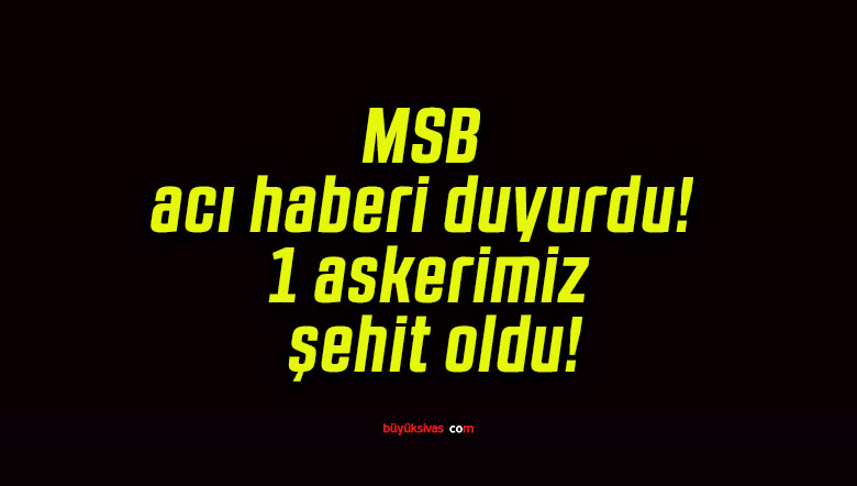 MSB acı haberi duyurdu! 1 askerimiz şehit oldu!