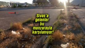 Sivas’a gelenler bu manzarayla karşılanıyor!