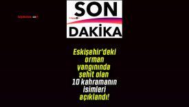 Eskişehir’deki orman yangınında şehit olan 10 kahramanın isimleri açıklandı!