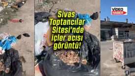 Sivas Toptancılar Sitesi’nde içler acısı görüntü!