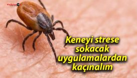 Keneyi strese sokacak uygulamalardan kaçınalım