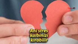 Uzmanı uyardı: Ani stres kalbinizi kırabilir