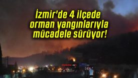 İzmir’de 4 ilçede orman yangınlarıyla mücadele sürüyor!