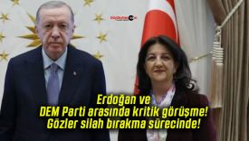 Erdoğan ve DEM Parti arasında kritik görüşme! Gözler silah bırakma sürecinde!